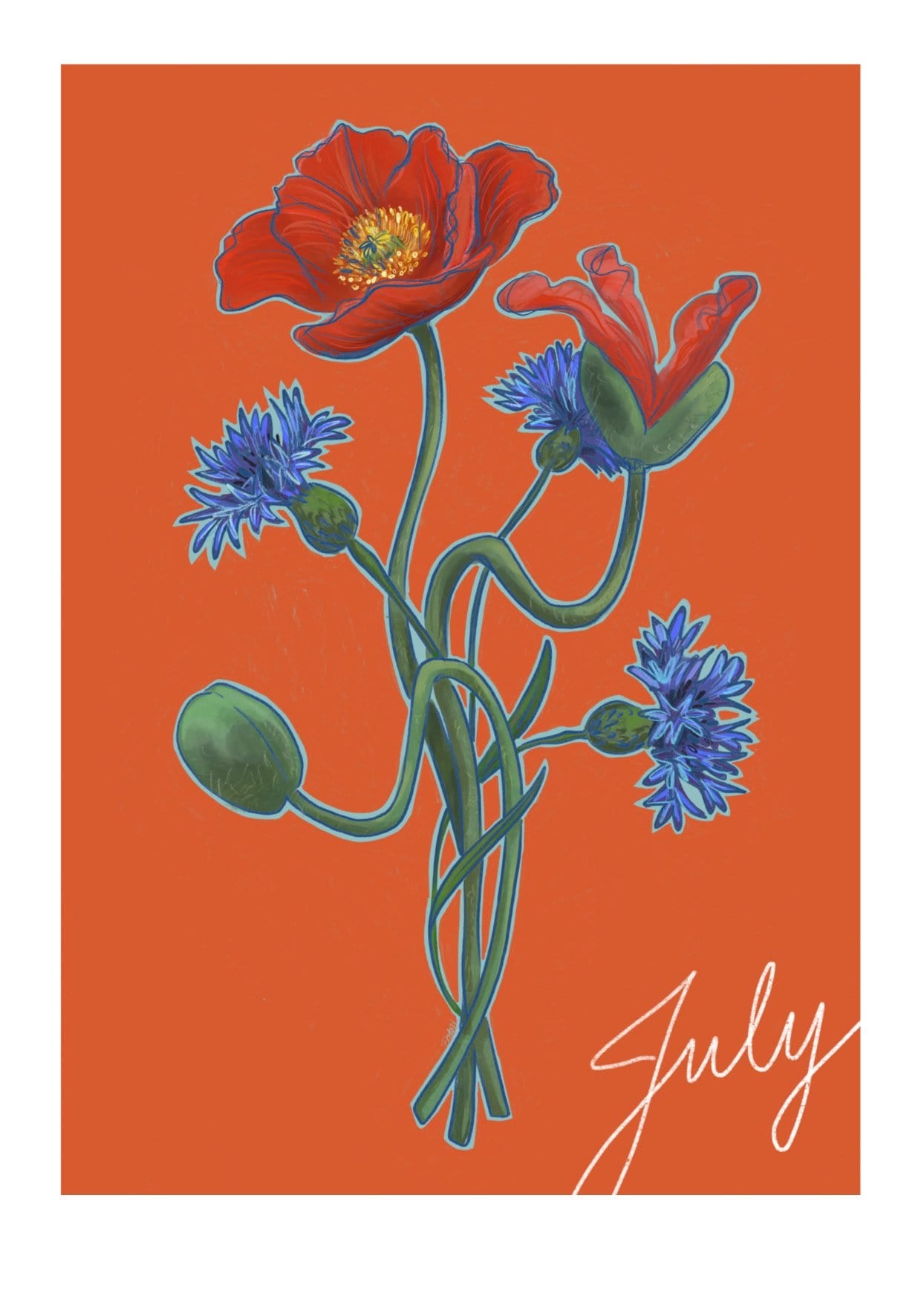 July Birthday Bloom Greeting Card Birthday Blooms Greeting Cards Greeting Card