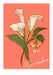 November Birthday Bloom Greeting Card Birthday Blooms Greeting Cards Greeting Card