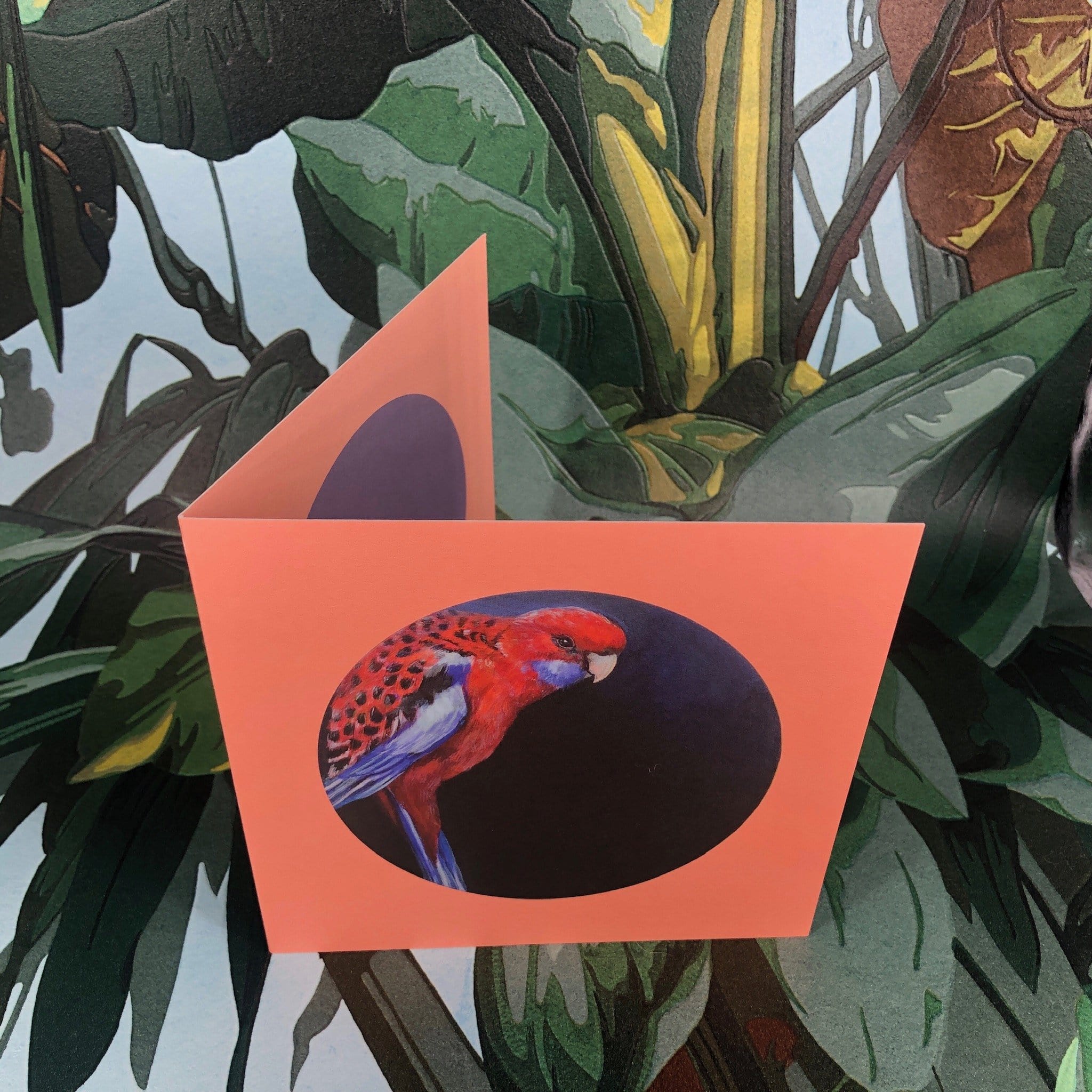 Crimson Rosella Greeting Card Exotic Bird Greeting Cards Square Card