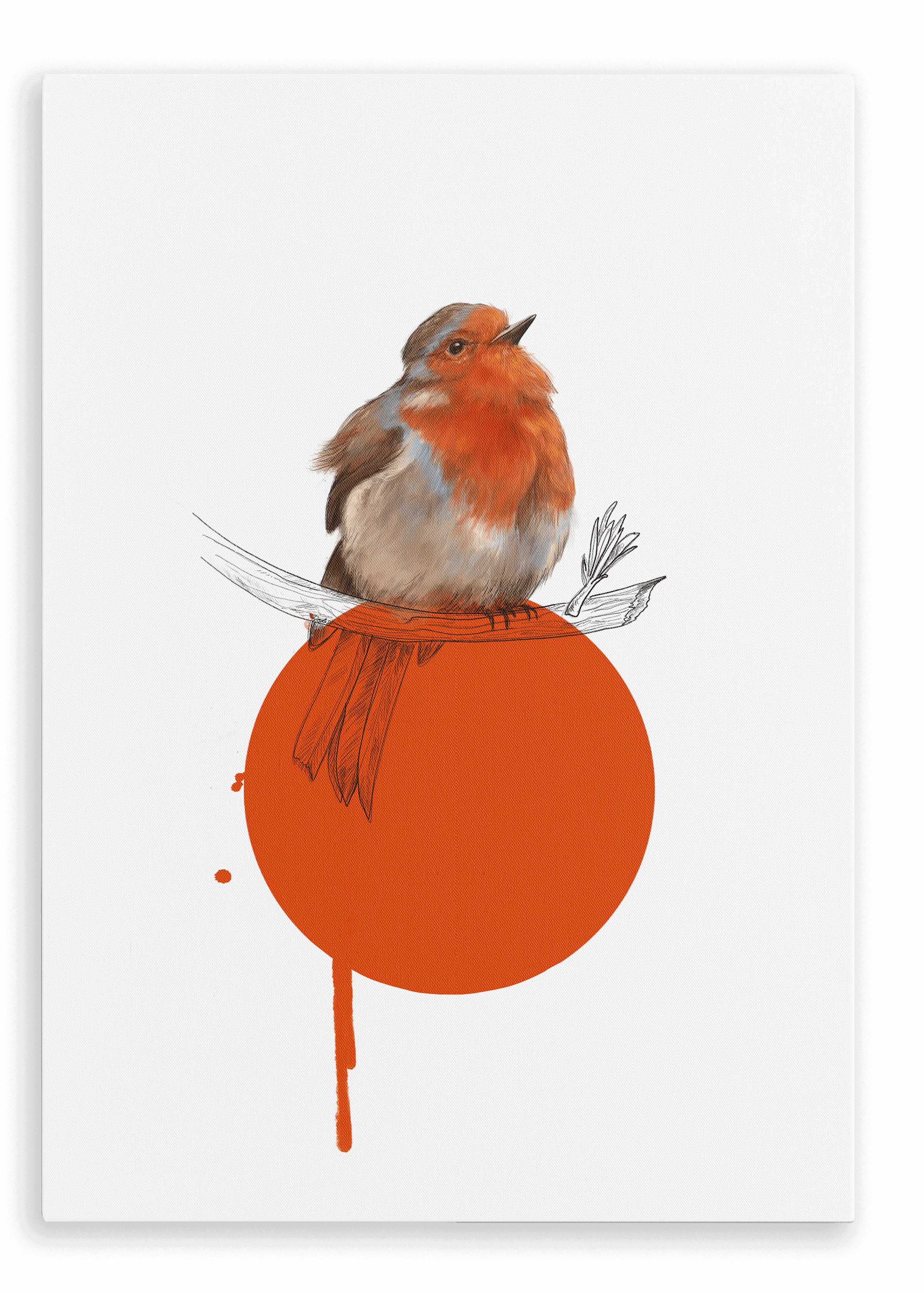 Robin Canvas Print Drippy Birds 28"x40"(70x100 cm) Canvas Print