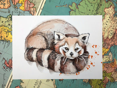 Red Panda Matte Art Print Fluffy Tails & a Sloth A4 (21 X 29.7 cm) Art Print