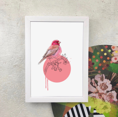 Rose Finch Giclée Art Print Drippy Birds Art Print