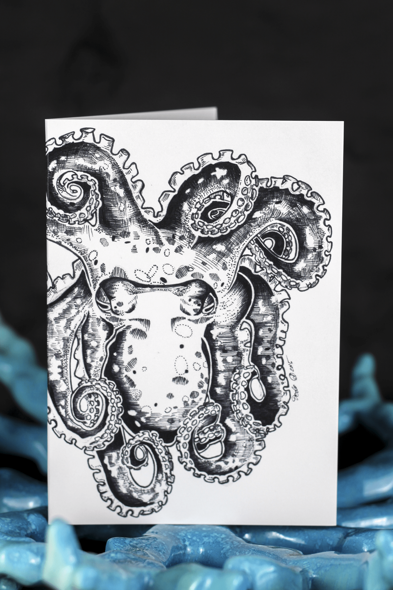 Sea Creatures Greeting Card Set Card Set Card Set