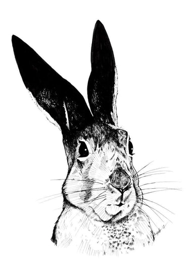 Skeptical Hare Matte Art Print Ink Drawings A3 (29.7 X 42 cm) Art Print