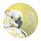 Sulphur Crested Cockatoo Giclée Art Print Exotic Bird Paintings 8" Square (20.32 X 20.32 cm) Square GIclee Art Print