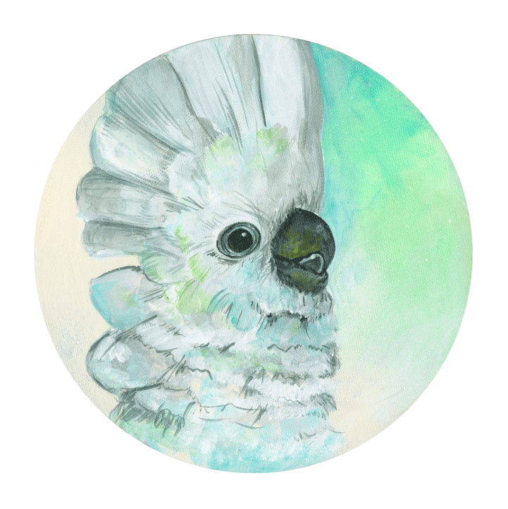 Umbrella Cockatoo Giclée Art Print Exotic Bird Paintings 8" Square (20.32 X 20.32 cm) Square GIclee Art Print
