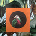 Wompoo Fruit Dove Greeting Card Exotic Bird Greeting Cards Square Card