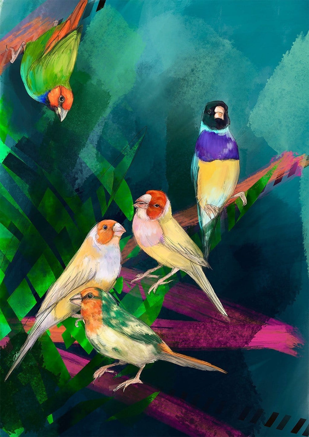 A Fandango Of Finches Giclée Art Print The Gathering Art Print