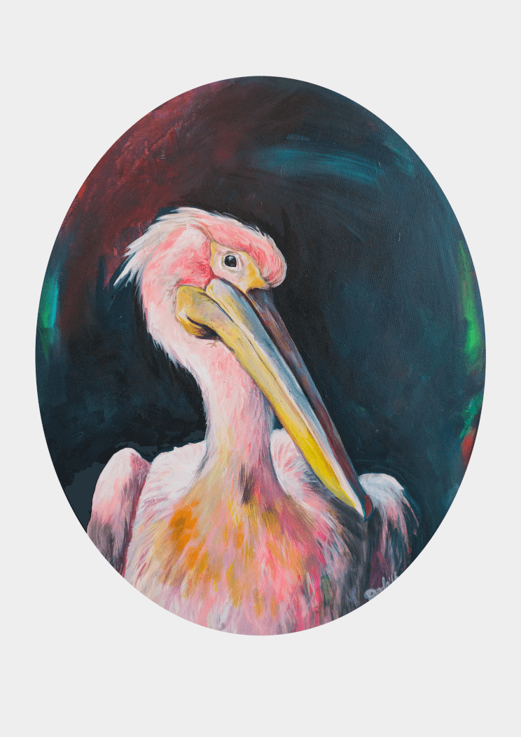 Pink Pelican Giclée Art Print Fine Art Art Print