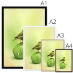 Apple Akekee Framed Print Sticky Beaks Framed Print