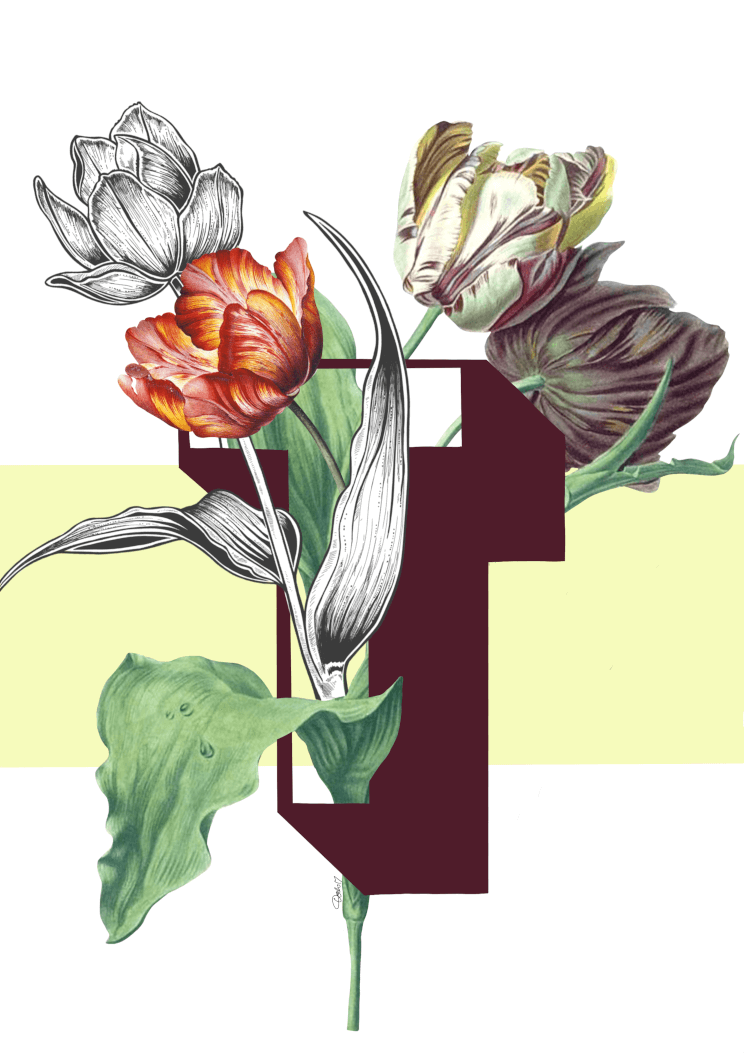 Botanical Alphabet T Matte Art Print Botanical Alphabet Art Print