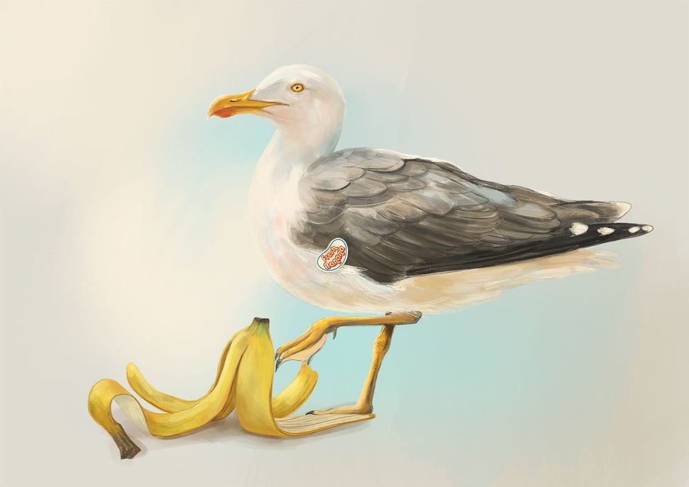 Banana Gull Giclée Art Print Sticky Beaks Art Print