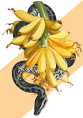 Banana Snake Matte Art Print Snakes & Adders Art Print
