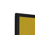 Banana Budgie Framed Print Sticky Beaks Framed Print