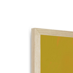 Banana Budgie Framed Print Sticky Beaks Framed Print