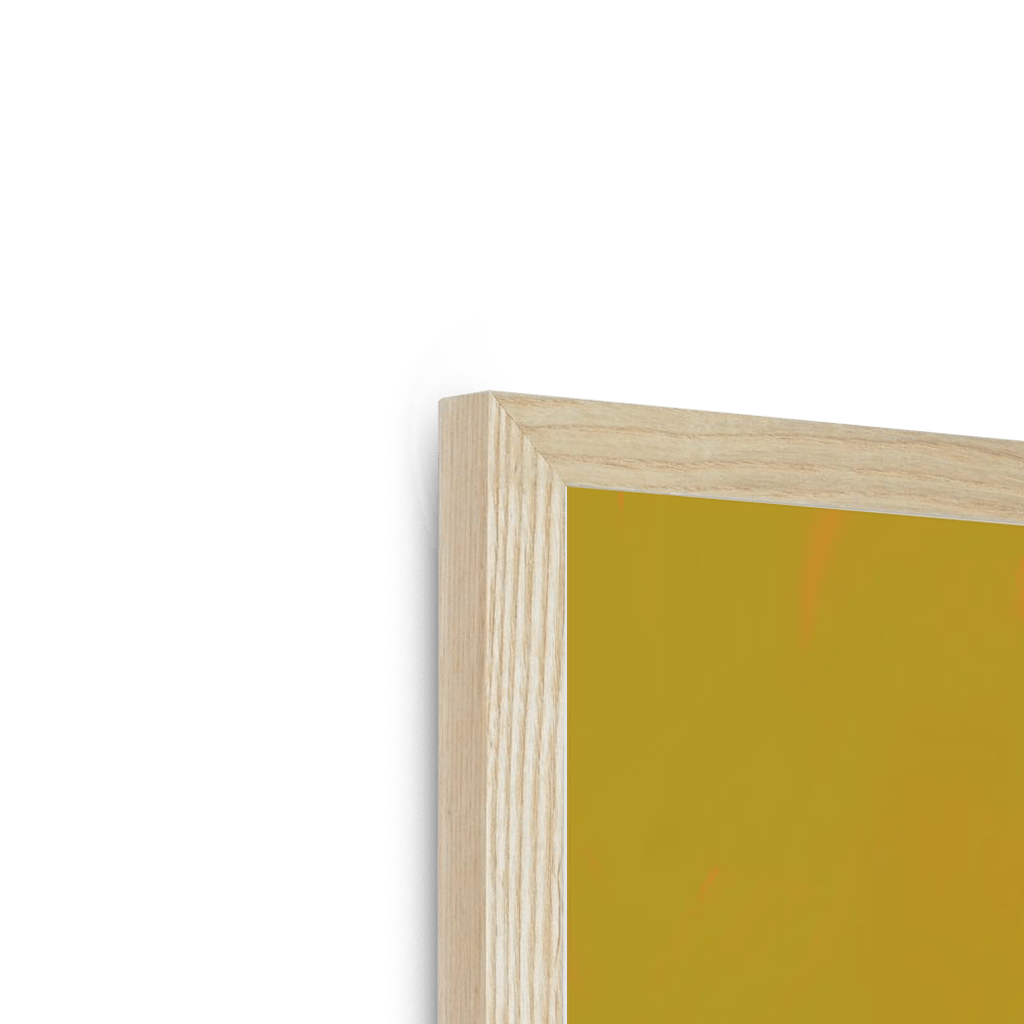 Banana Budgie Framed Print Sticky Beaks Framed Print