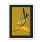 Banana Budgie Framed Print Sticky Beaks A3 (297 X 420 mm) / White / Black Mount Framed Print