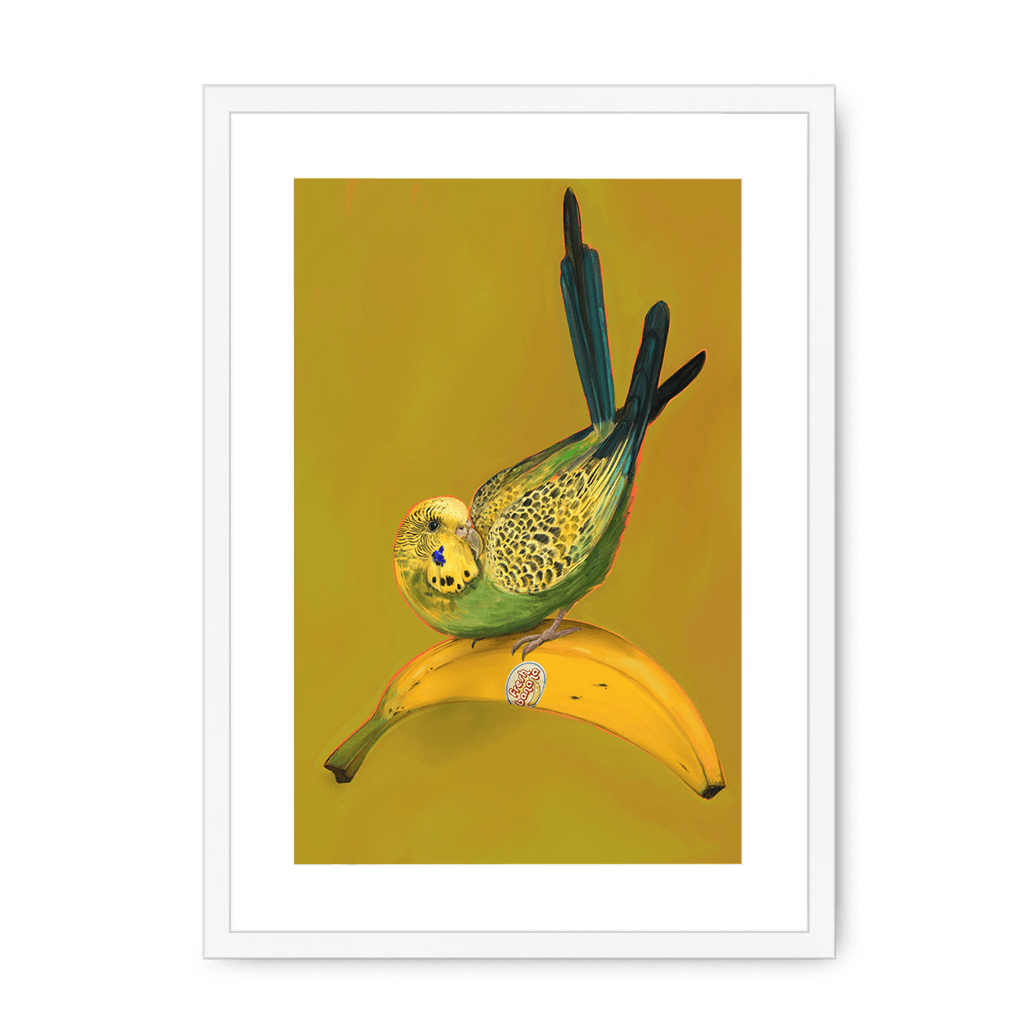 Banana Budgie Framed Print Sticky Beaks A3 (297 X 420 mm) / White / White Mount Framed Print