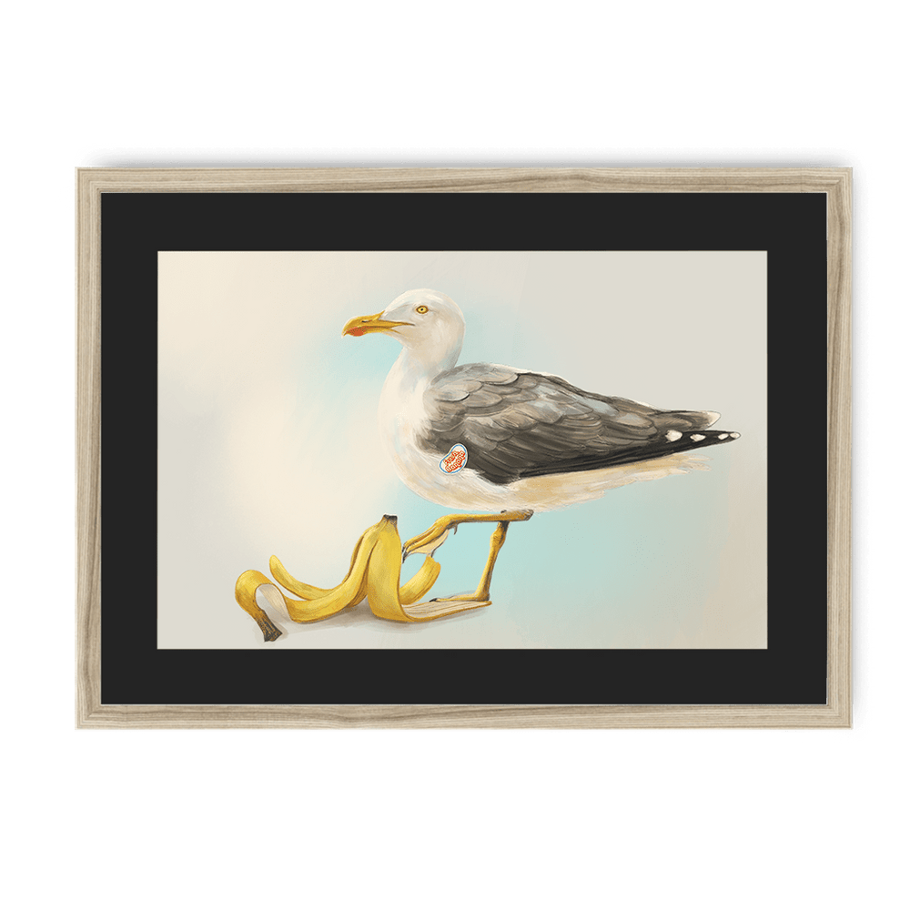 Banana Gull Framed Print Sticky Beaks A3 (297 X 420 mm) / Natural / Black Mount Framed Print