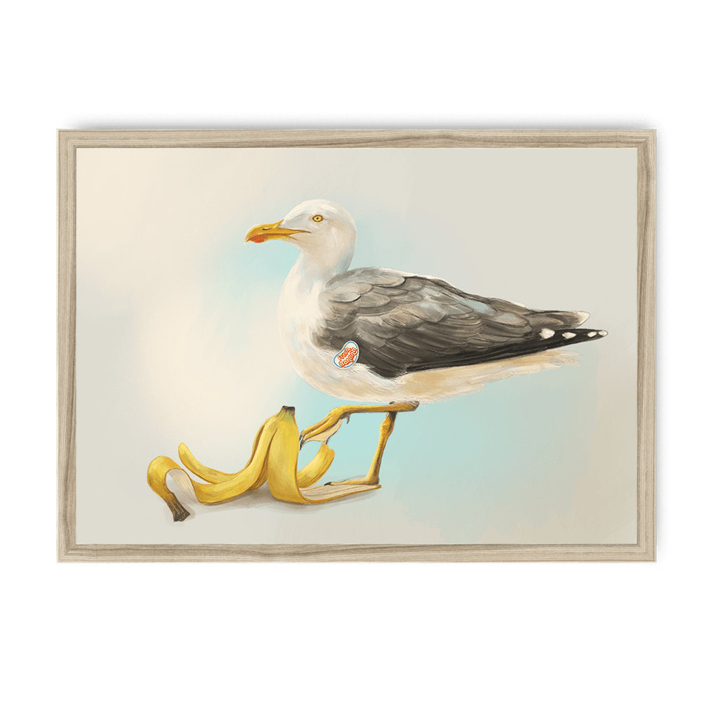 Banana Gull Framed Print Sticky Beaks A3 (297 X 420 mm) / Natural / No Mount (All Art) Framed Print