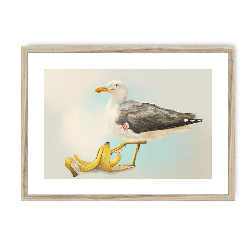 Banana Gull Framed Print Sticky Beaks A3 (297 X 420 mm) / Natural / White Mount Framed Print