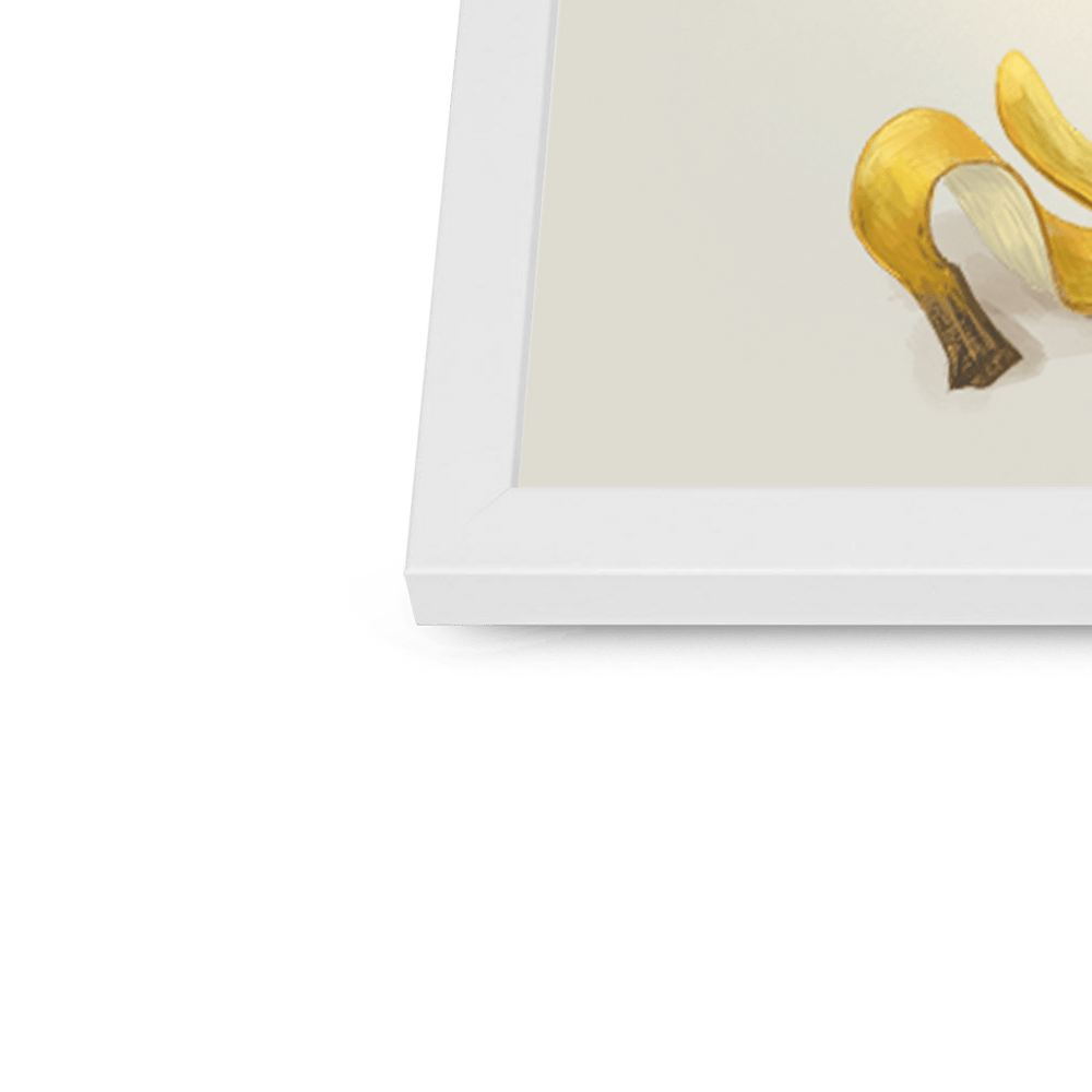 Banana Gull Framed Print Sticky Beaks Framed Print