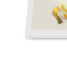 Banana Gull Framed Print Sticky Beaks Framed Print