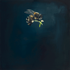 Bee Giclée Art Print Fine Art Square GIclee Art Print