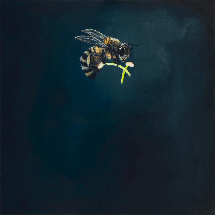 Bee Giclée Art Print Fine Art Square GIclee Art Print