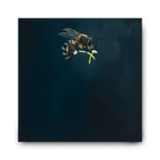 Bee Canvas Print Fine Art Canvas Print