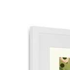 Blooming Budgerigars Framed with a Mount Print The Gathering Mounted Print