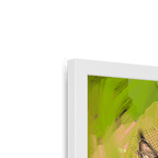 Bobcat Botanica Framed Print Pawky Paws Framed Print