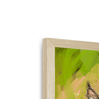 Bobcat Botanica Framed Print Pawky Paws Framed Print