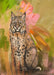 Bobcat Botanica Giclée Art Print Pawky Paws Art Print