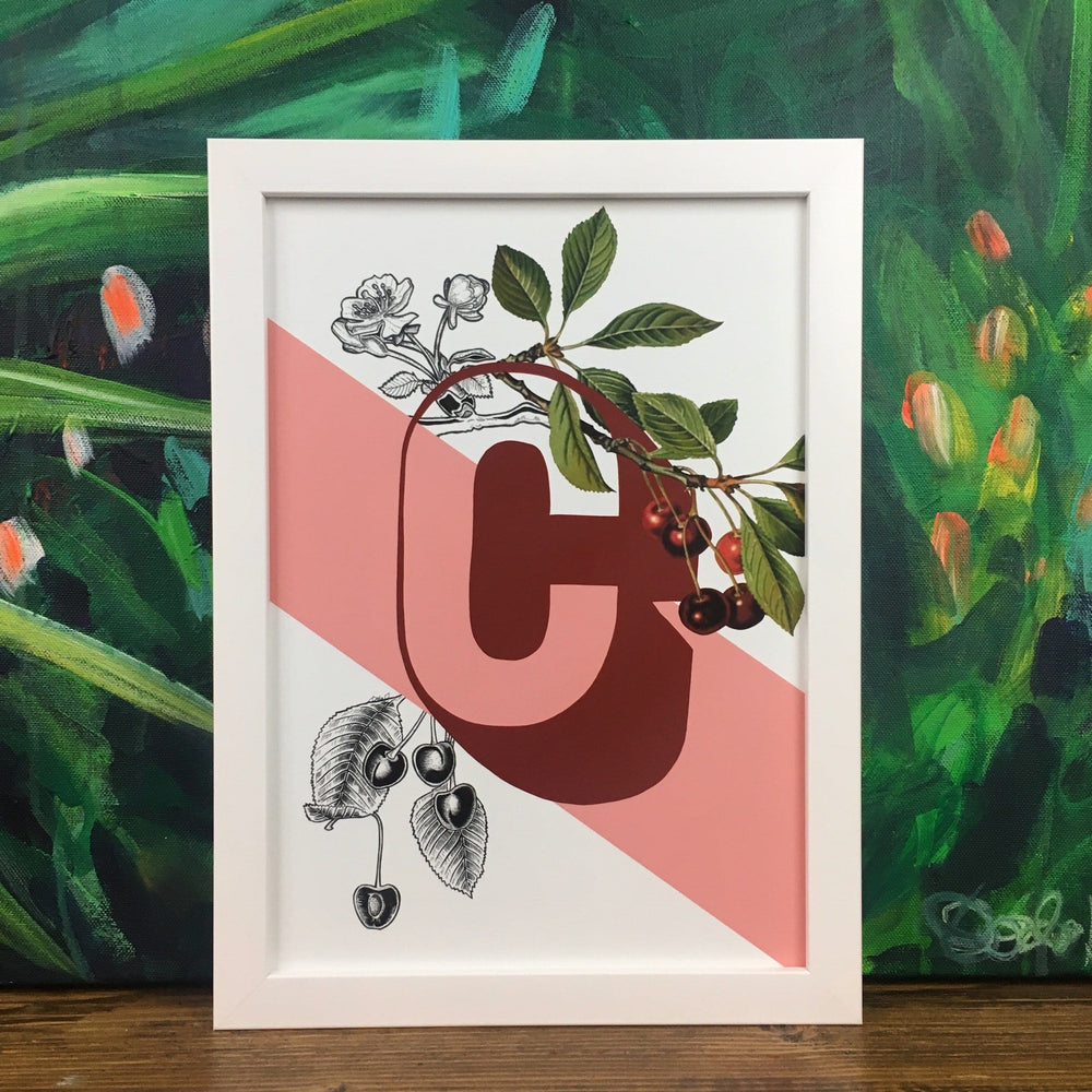 Botanical Alphabet C Matte Art Print Botanical Alphabet Art Print