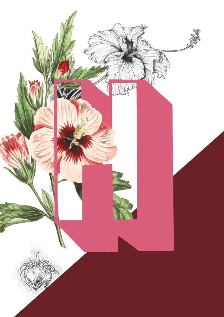 Botanical Alphabet H Matte Art Print Botanical Alphabet Art Print