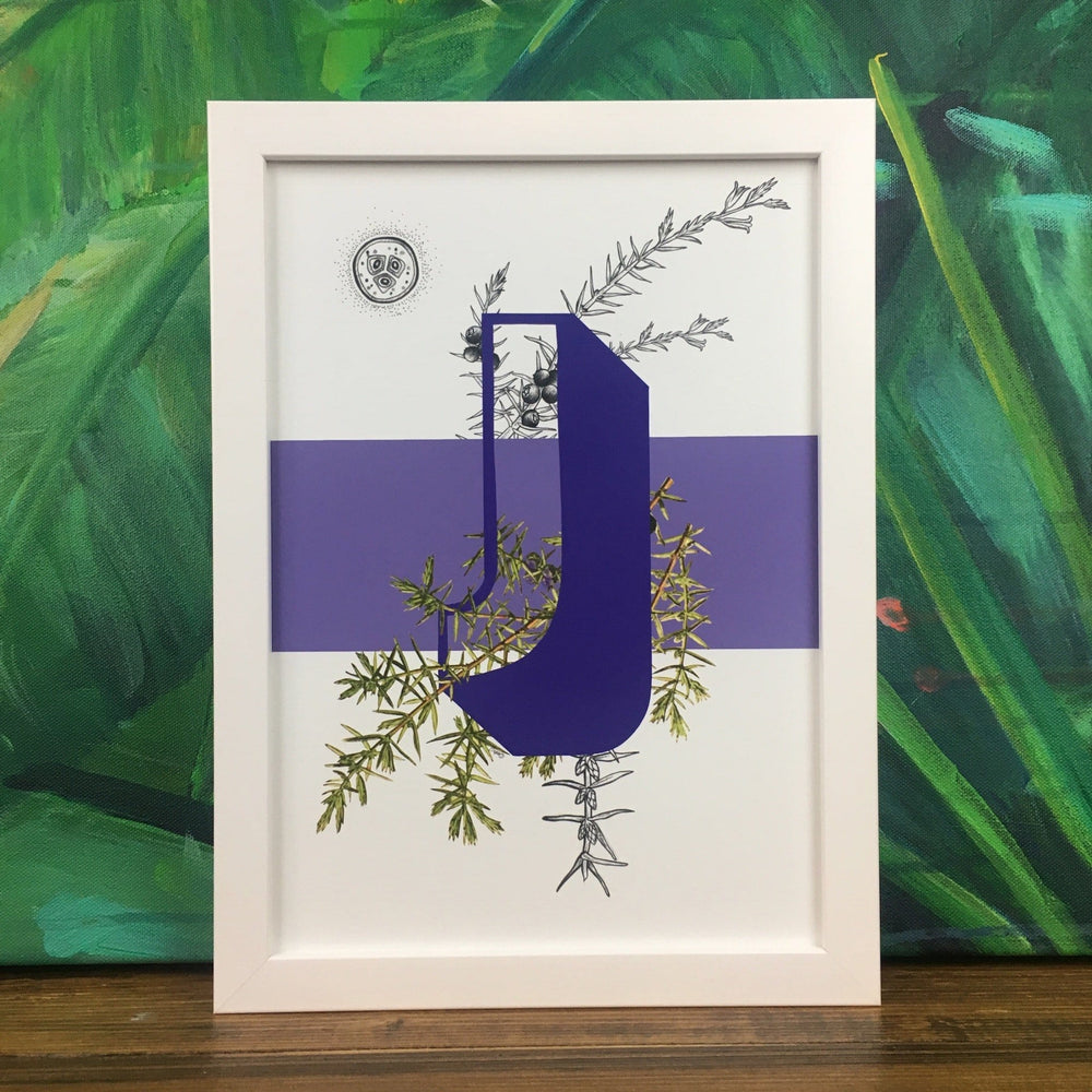 Botanical Alphabet J Matte Art Print Botanical Alphabet Art Print