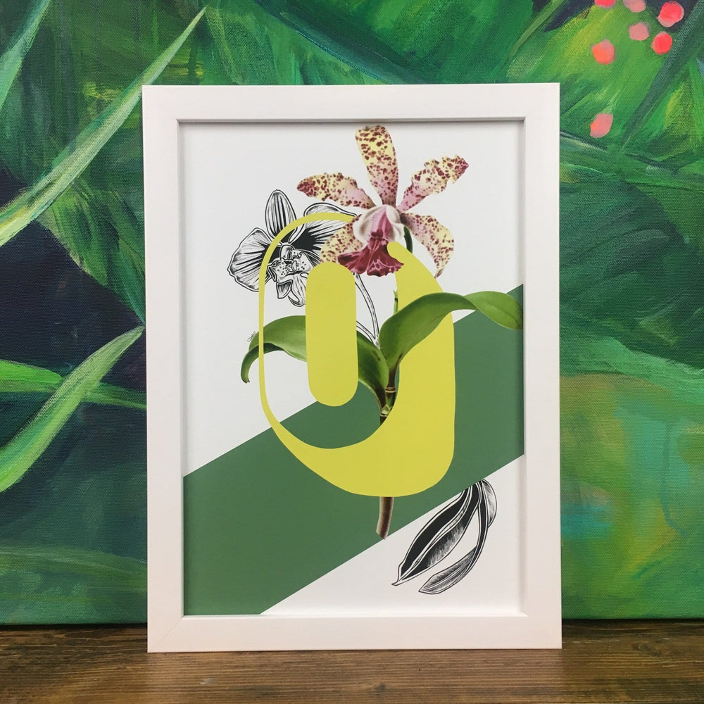 Botanical Alphabet O Matte Art Print Botanical Alphabet Art Print