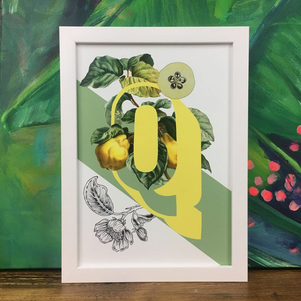 Botanical Alphabet Q Matte Art Print Botanical Alphabet Art Print