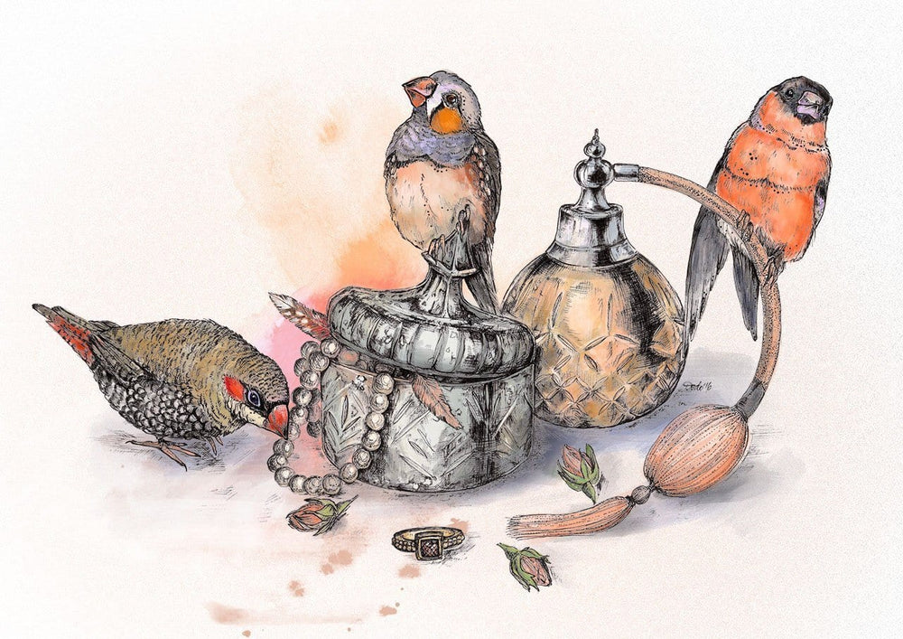 Boudoir Finches Matte Art Print The Gathering Art Print