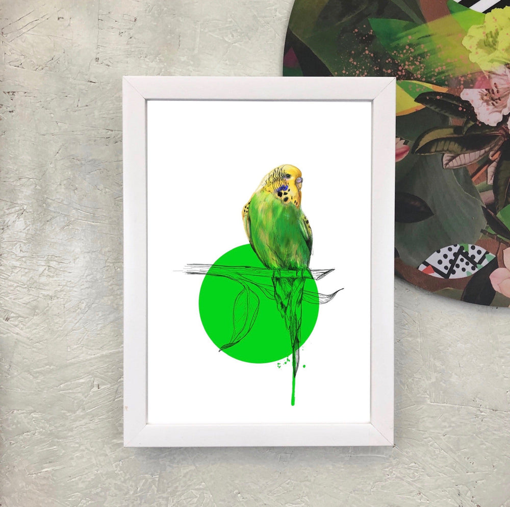 Budgie Giclée Art Print Drippy Birds Art Print