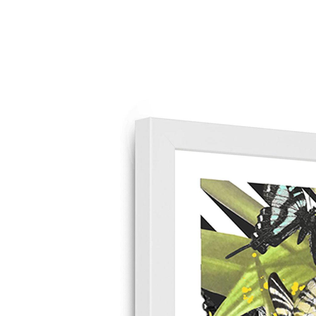 Butterfly Tropicana Framed Print The Gathering Framed Print