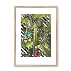 Butterfly Tropicana Framed Print The Gathering A3 (297 X 420 mm) / Natural / White Mount Framed Print
