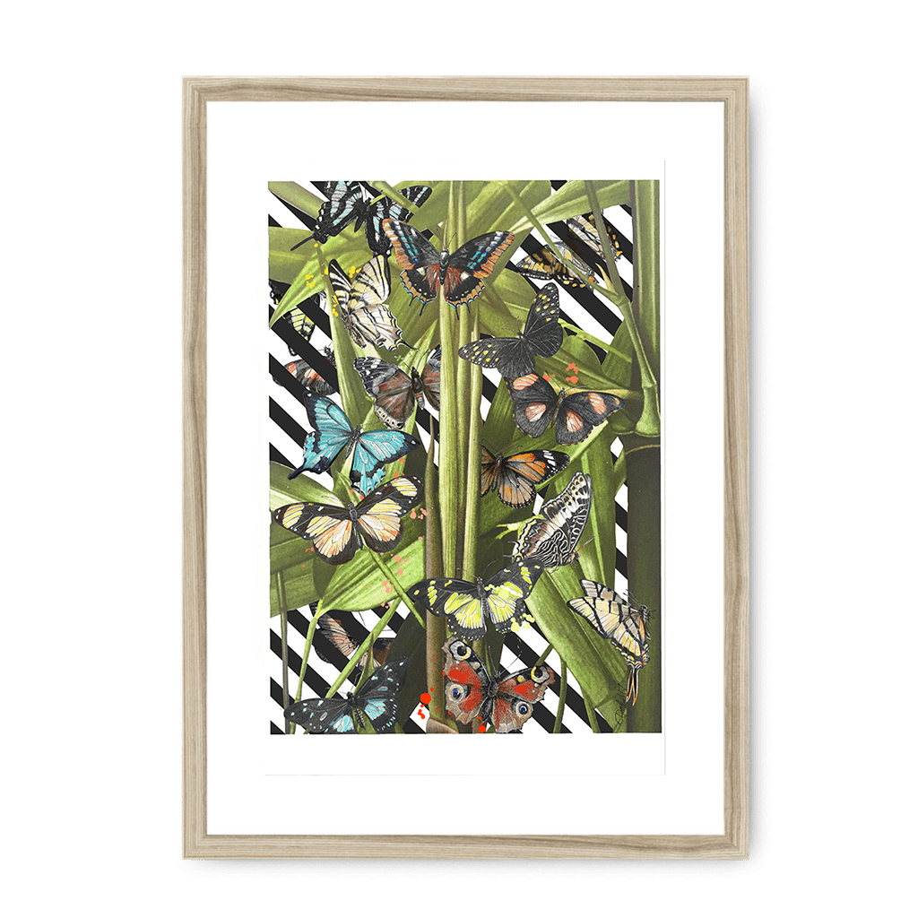 Butterfly Tropicana Framed Print The Gathering A3 (297 X 420 mm) / Natural / White Mount Framed Print