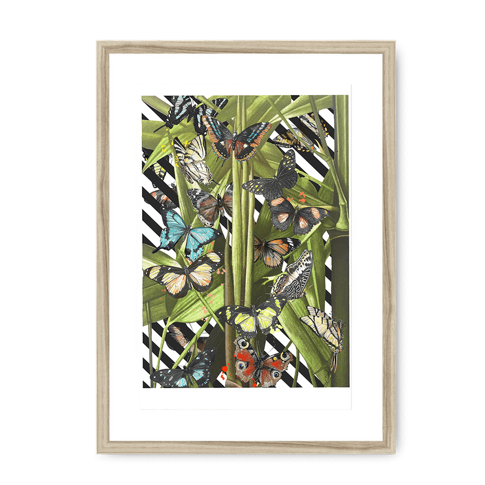 Butterfly Tropicana Framed Print The Gathering A3 (297 X 420 mm) / Natural / White Mount Framed Print