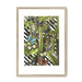 Butterfly Tropicana Framed Print The Gathering A3 (297 X 420 mm) / Natural / White Mount Framed Print