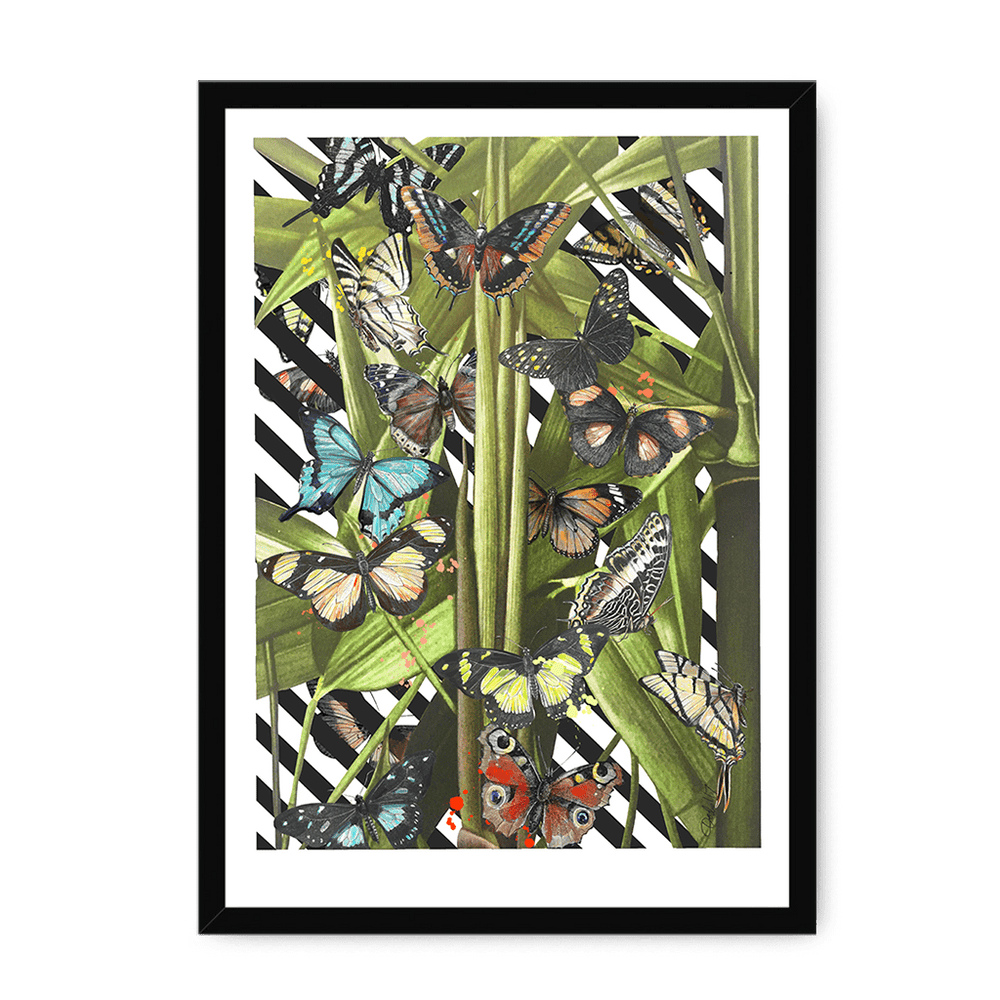 Butterfly Tropicana Framed Print The Gathering A3 (297 X 420 mm) / Black Framed Print
