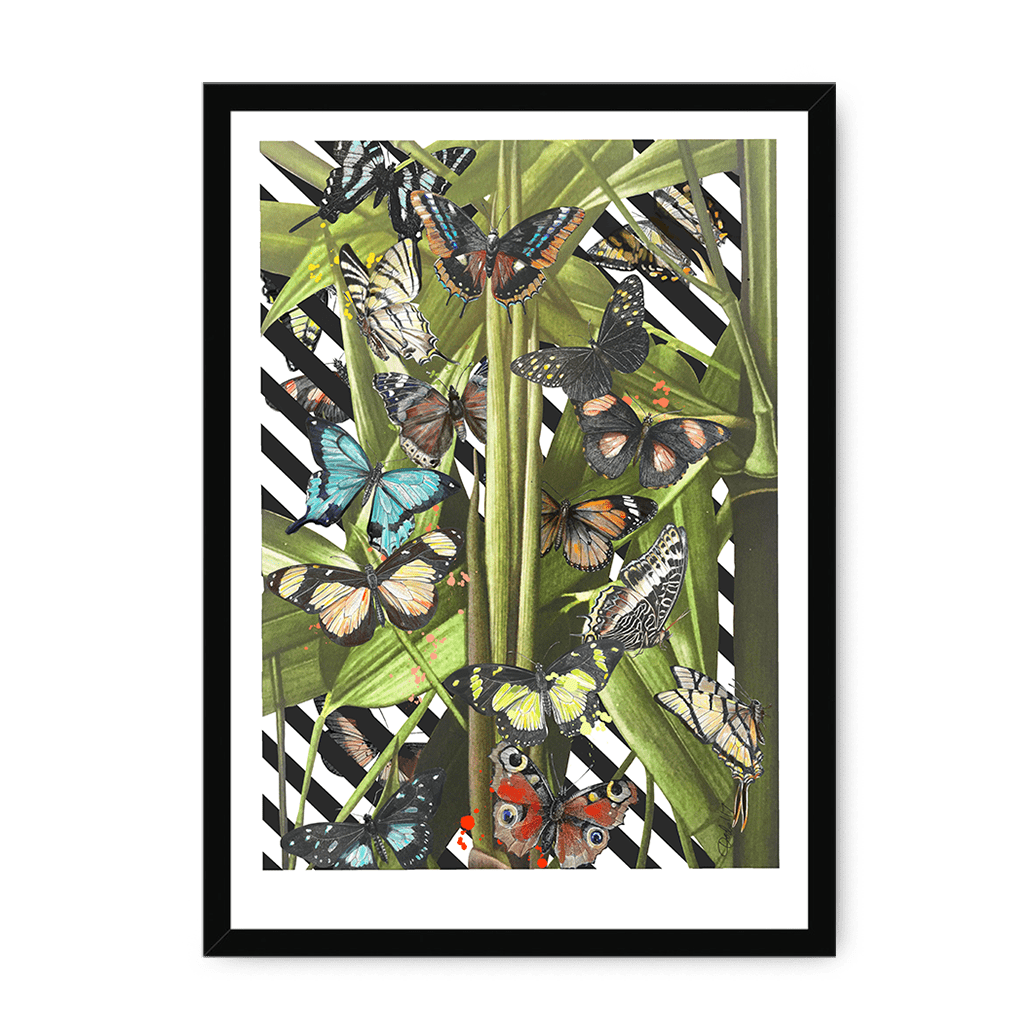 Butterfly Tropicana Framed Print The Gathering A3 (297 X 420 mm) / Black Framed Print