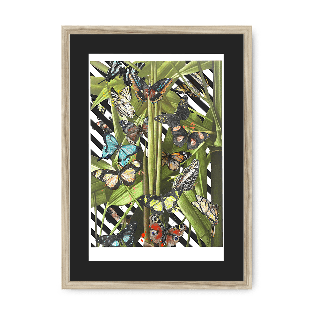 Butterfly Tropicana Framed Print The Gathering A3 (297 X 420 mm) / Natural / Black Mount Framed Print