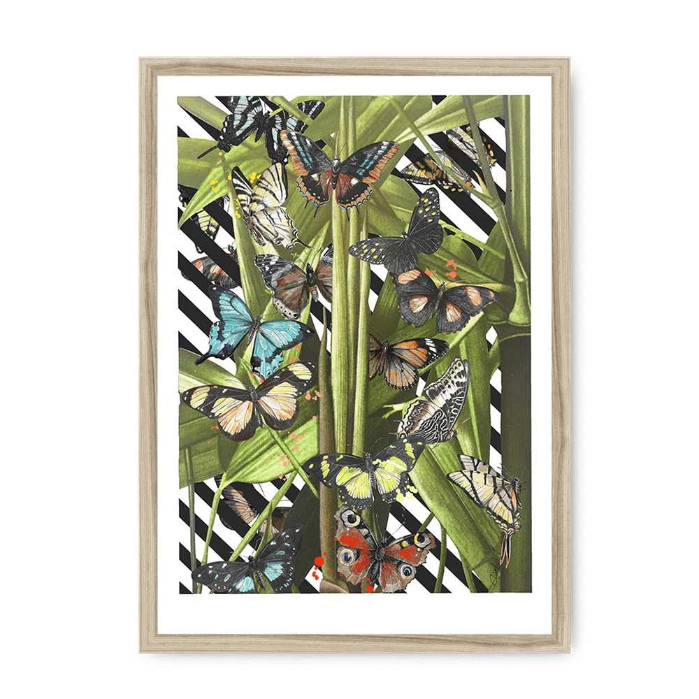 Butterfly Tropicana Framed Print The Gathering A3 (297 X 420 mm) / Natural Framed Print
